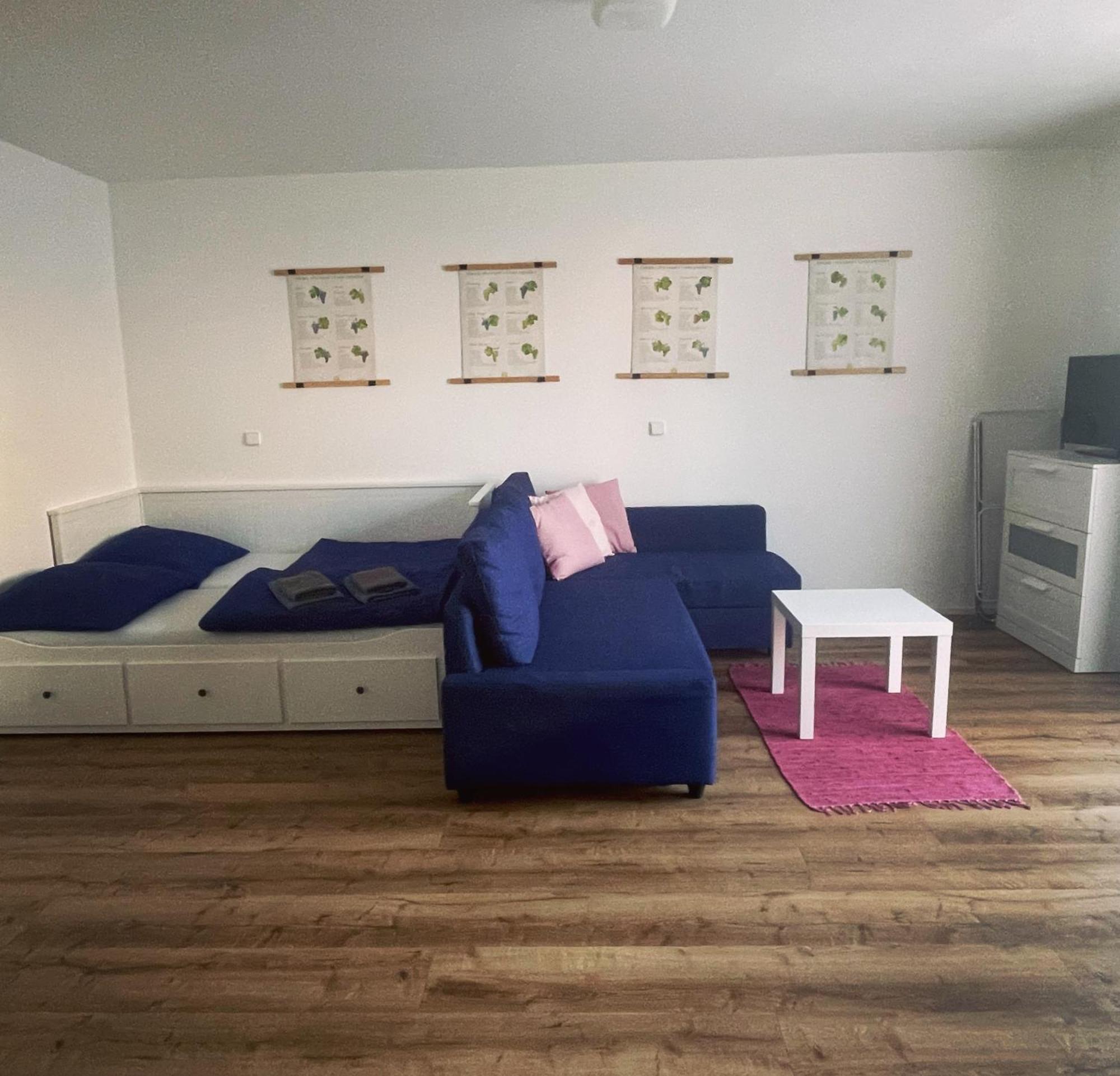 Palavske Domky Appartement Pasohlávky Buitenkant foto